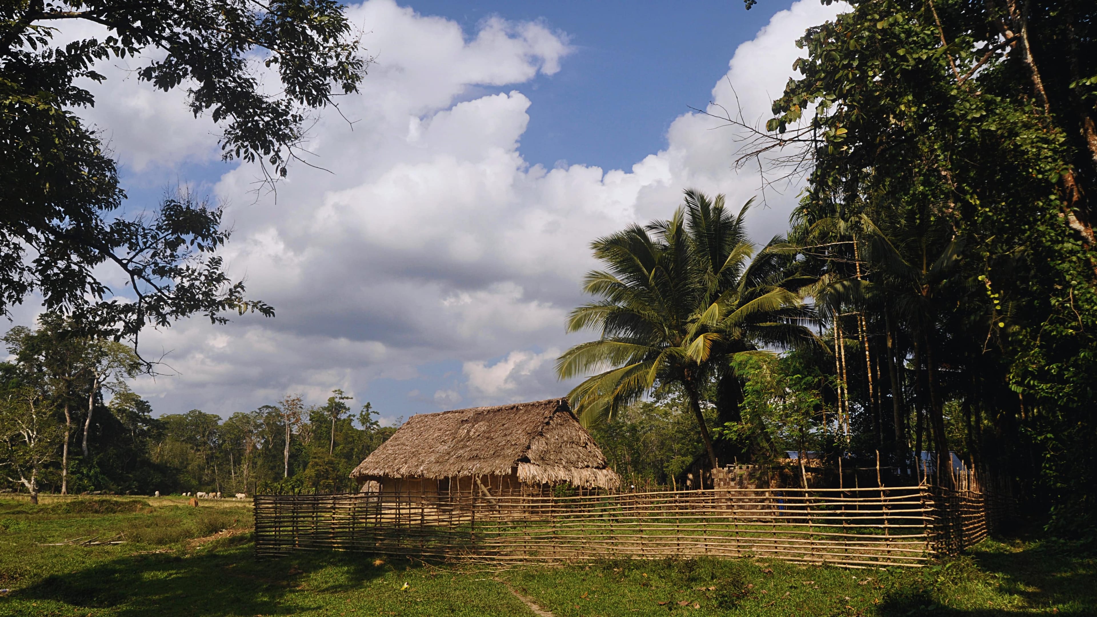 Tribal Community Stays