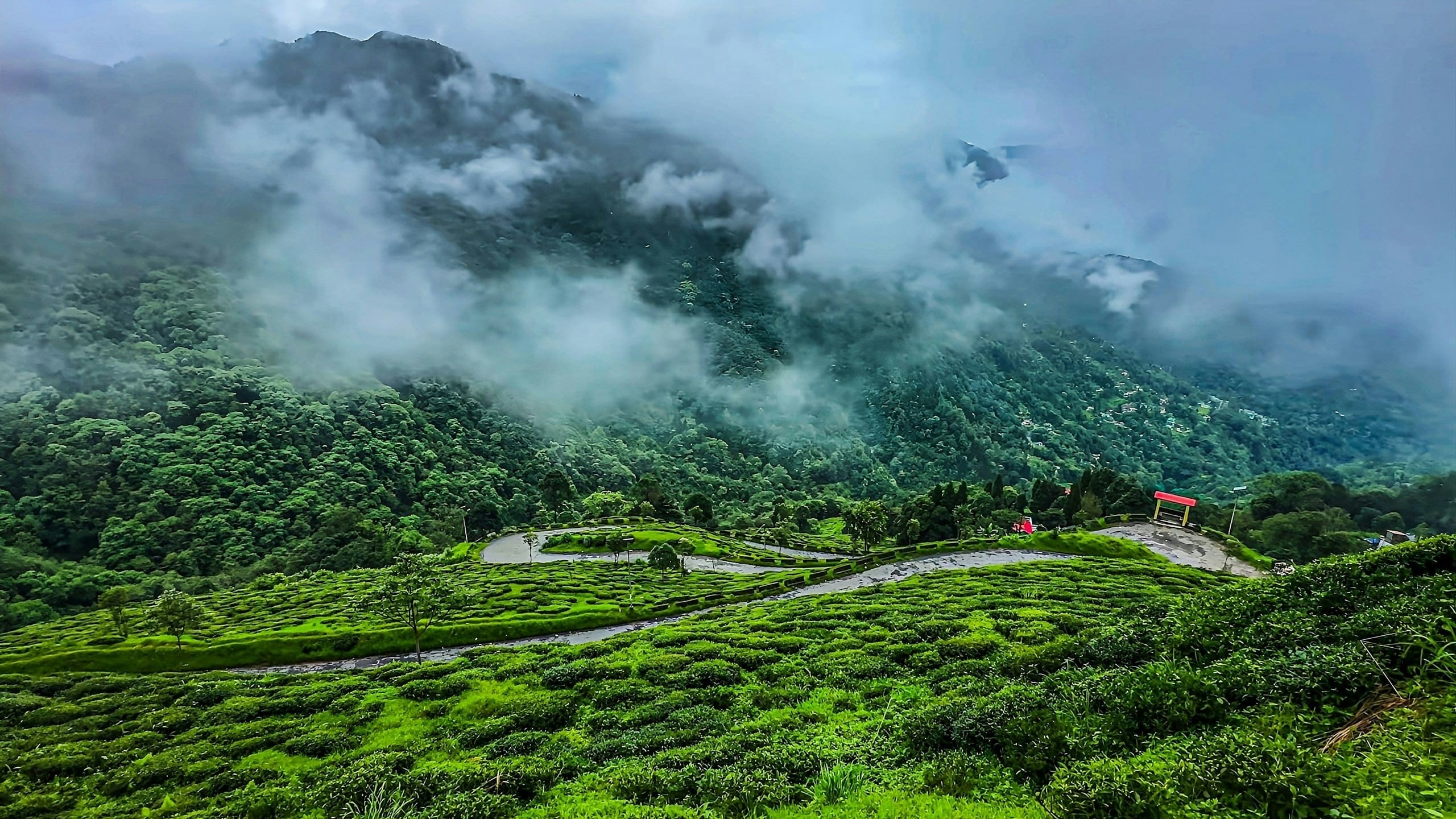 The Story & Context — The Tea Mist and the Third Peak