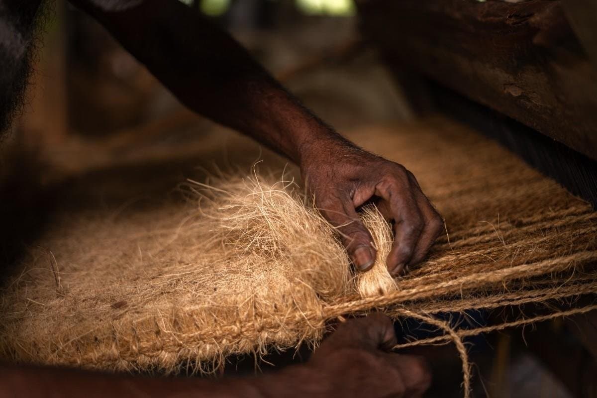The Coconut Economy